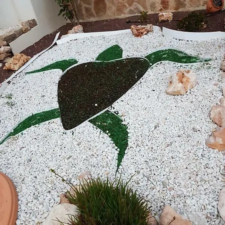 Vackra Punta Prima *